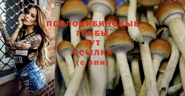 метадон Алзамай